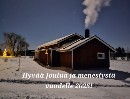 Suomen Sahayrittäjät ry toivottaa Hyvää Joulua ja Onnea vuodelle 2025